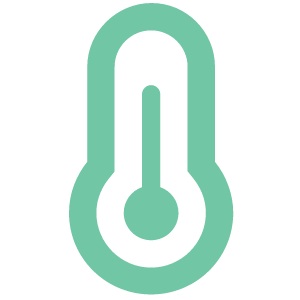 Temperature icon