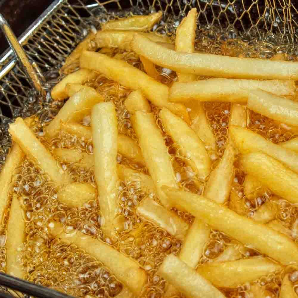 Commercial Fryer