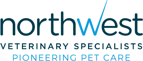 Northwest veterinary specialists