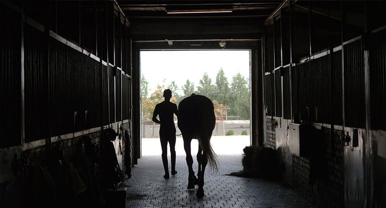 stables laundry guide