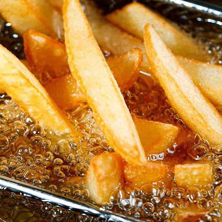 Commercial fryer cooking chips