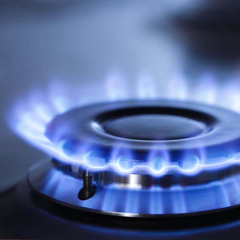 Gas safety checks