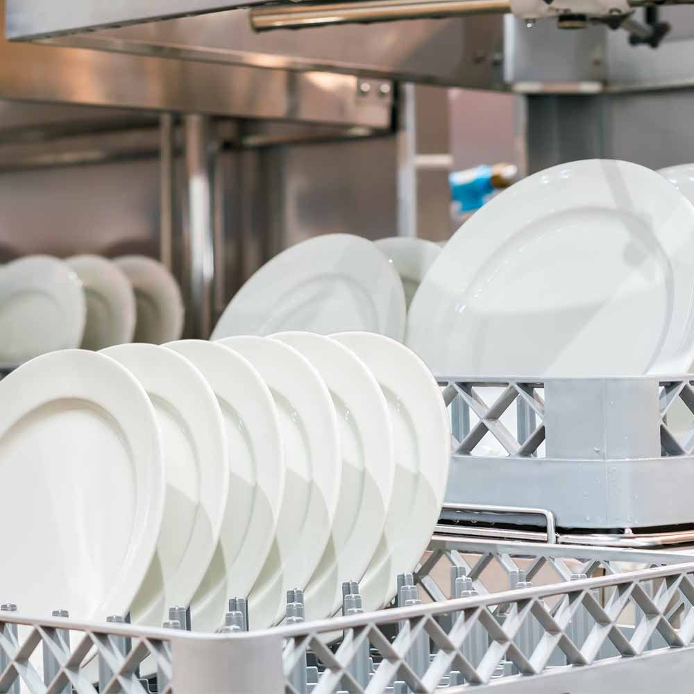 Plates in dishwasher