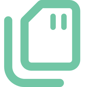Memory icon